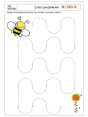 1. sınıf çizgi çalışmaları